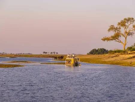 Croisière sur la rivière Chobe